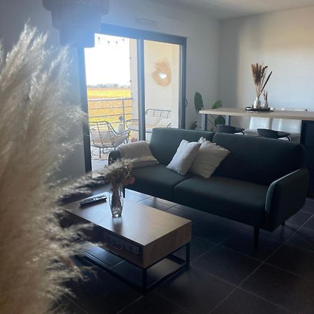 Appartement Vue Vigne Perpignan Buitenkant foto
