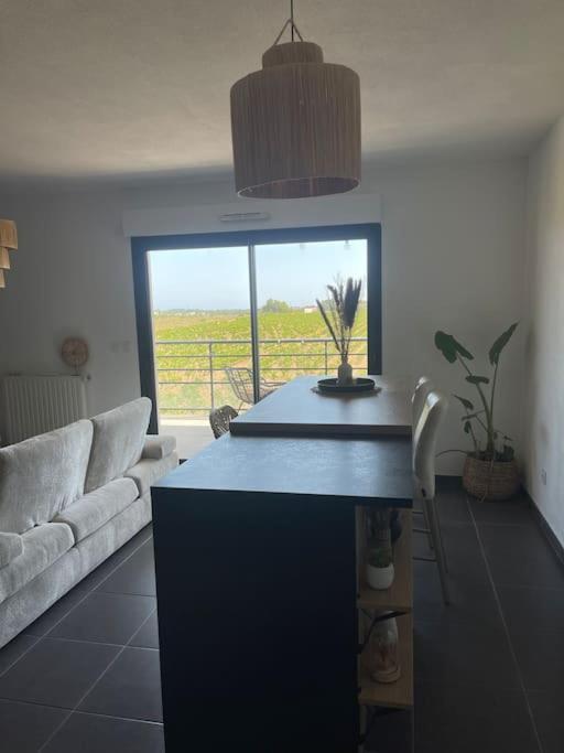 Appartement Vue Vigne Perpignan Buitenkant foto