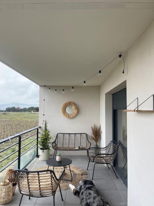 Appartement Vue Vigne Perpignan Buitenkant foto