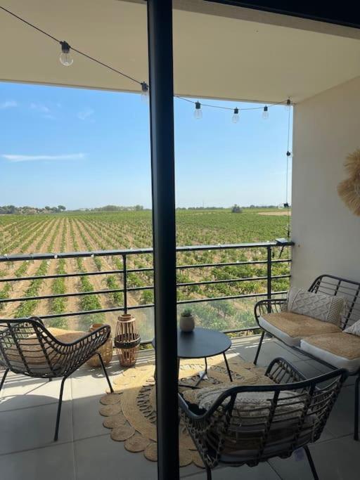 Appartement Vue Vigne Perpignan Buitenkant foto